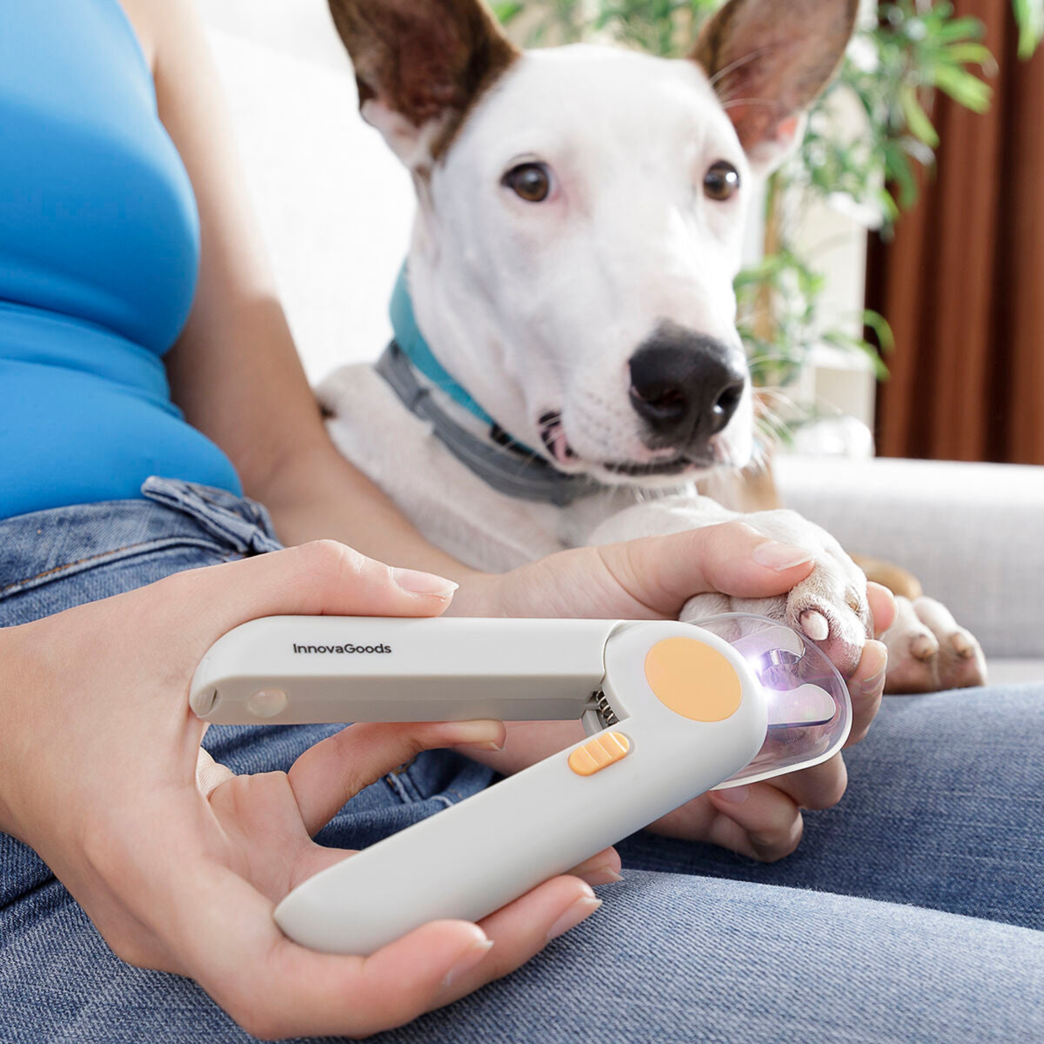 Pet Nail Clipper with Light – Ergonomic Grooming Tool