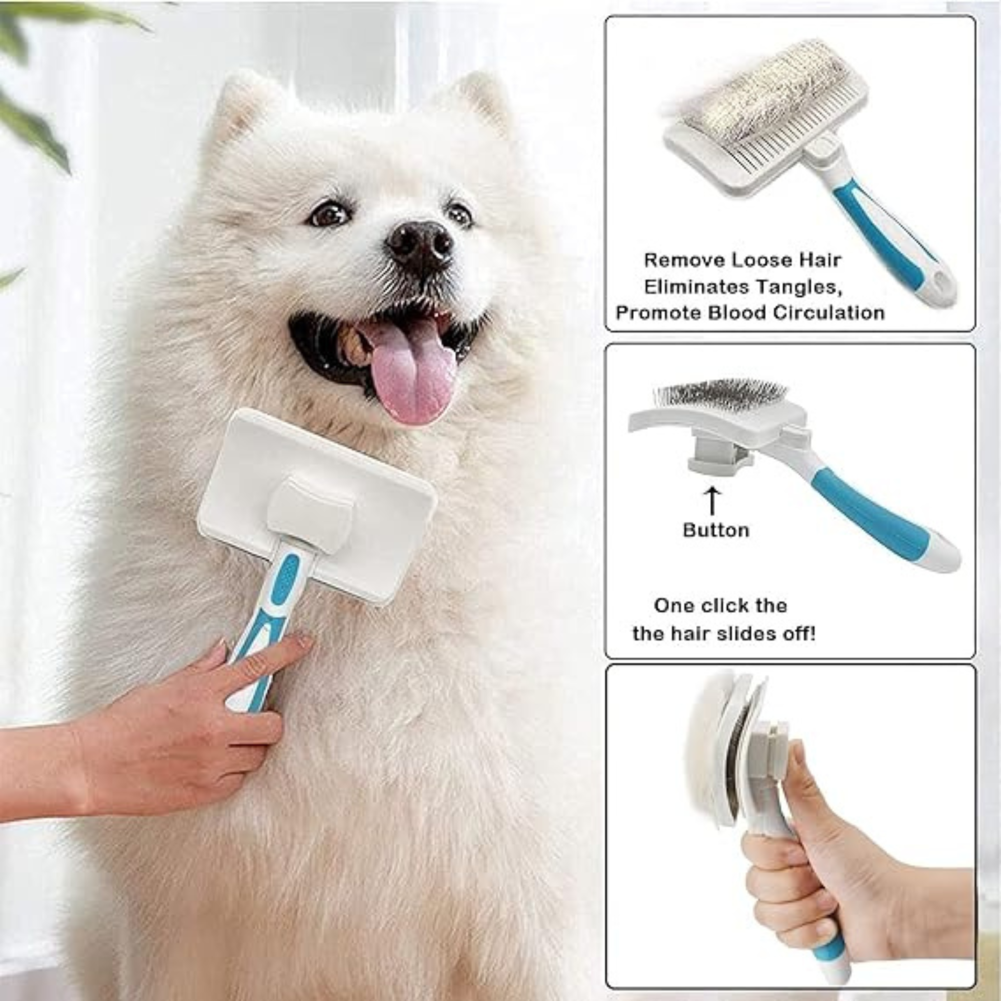 Pet Detangling Brush for Dogs – Stainless Steel Teeth